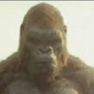 Profile image of Kong