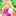 魔法使いプリキュアⅡみらいデイズ