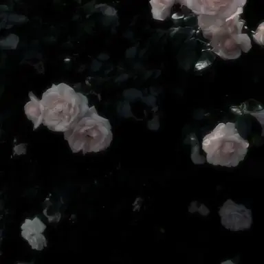 Profile image of じぇいく