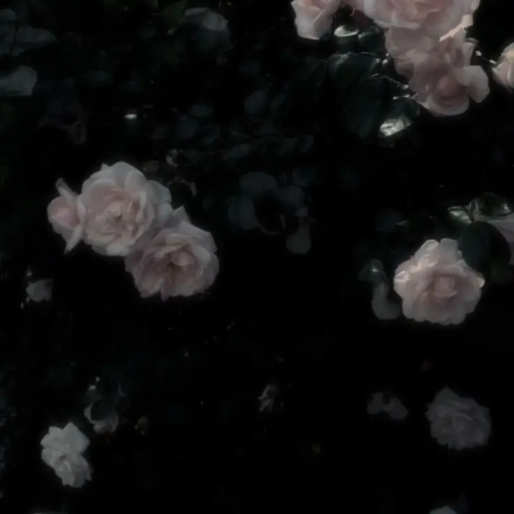 haerinn3037의 犬系彼氏