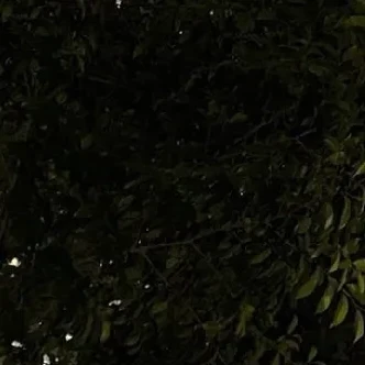 강.태.현