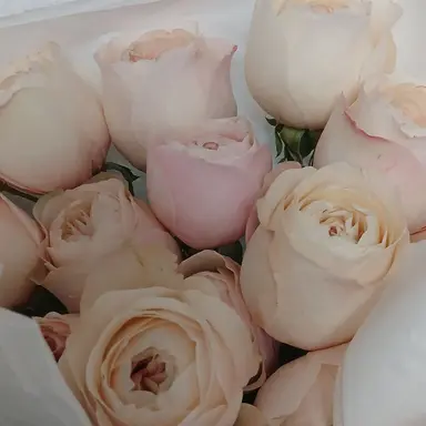 Profile image of 박지훈