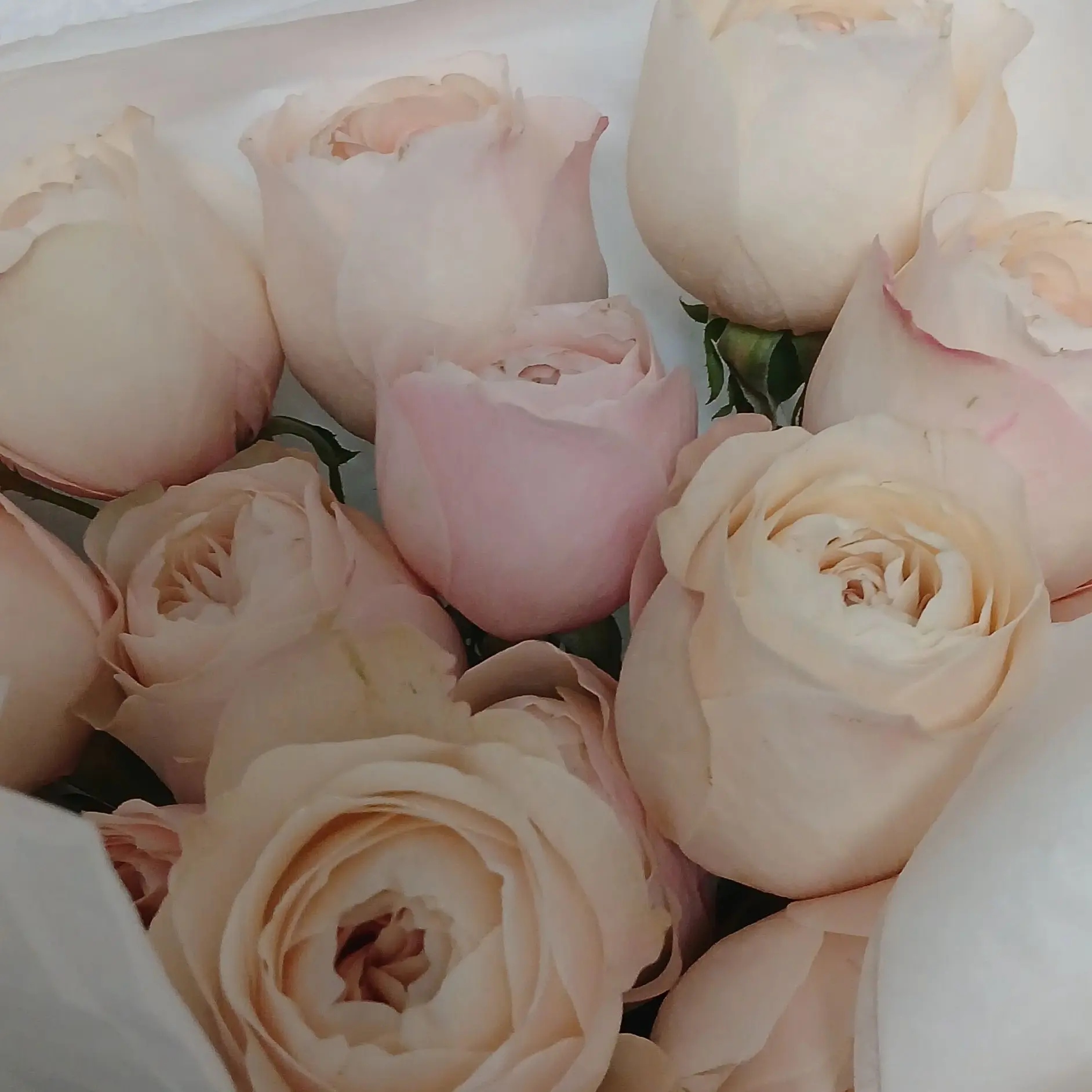 WhiteSweet7324의 박지훈과 육아...