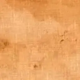 Profile image of 이늑한