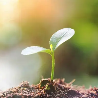 Profile image of 아이린