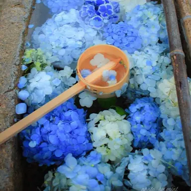 Profile image of 요도가와 마스미