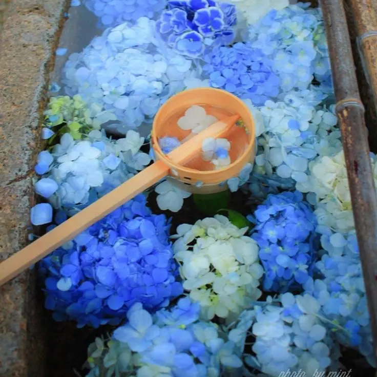 PoeticMonth1897의 요도가와 마스미