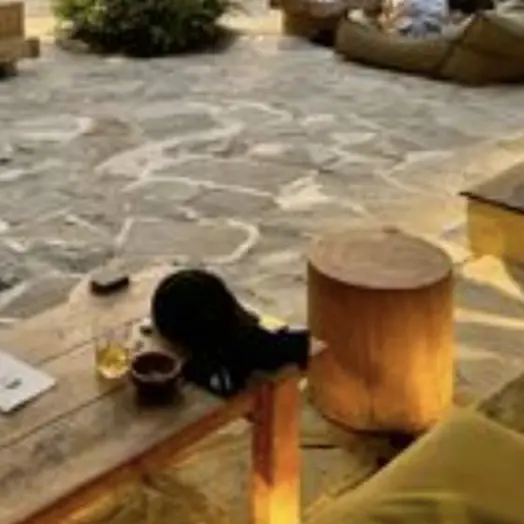 Honney_bear의 정공룡