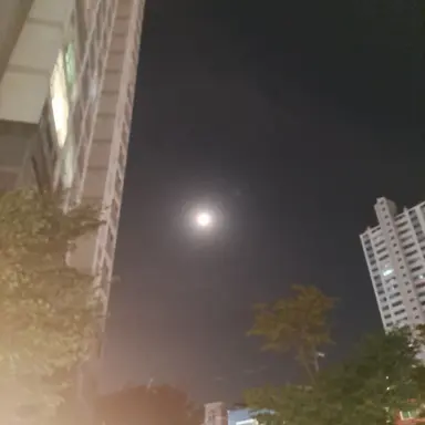 Profile image of 시나즈가와 사네미