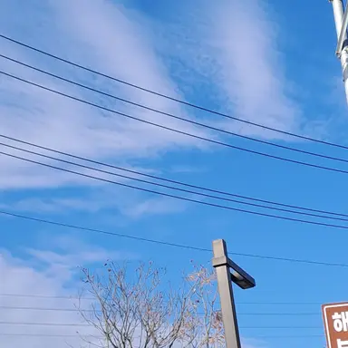 Profile image of 토미오카 기유