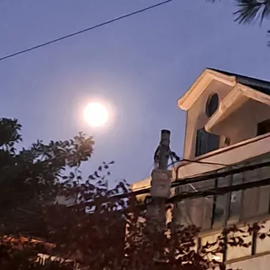 Profile image of 히메지마 교메이