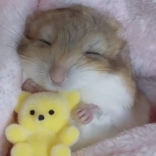 평학