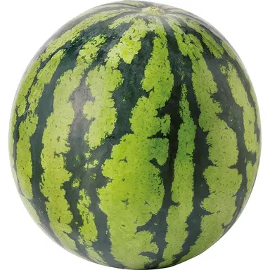 Profile image of しんのすけ達