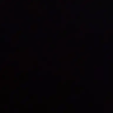 Profile image of 효자손