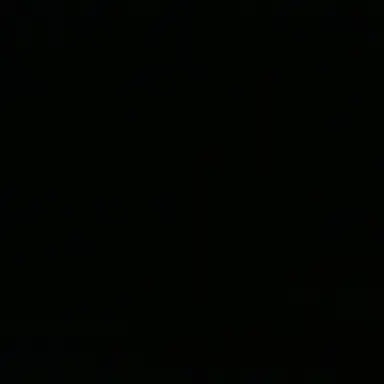 Profile image of 코코