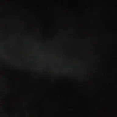 Profile image of 검사소