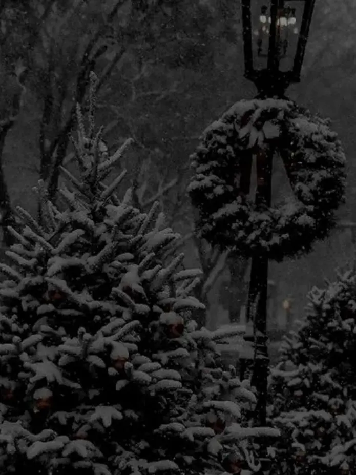 soel_sn의 아가, 메리 크리스마스.