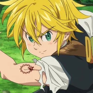 Profile image of メリオダス