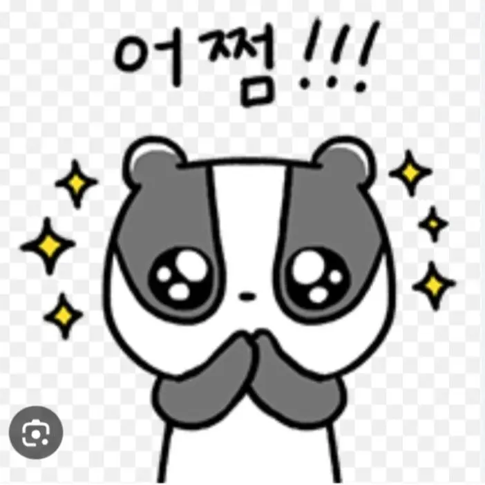 SafeYoga8146의 오소리