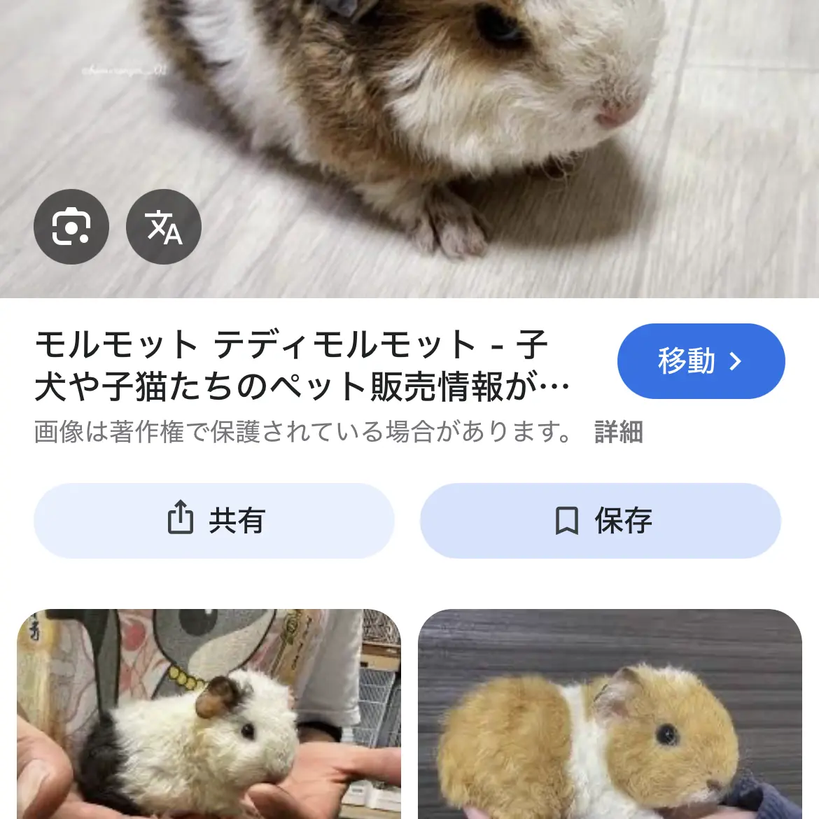 Yumegu113의 ナレーターと喋りたい方！！