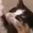 ㄱㅇ