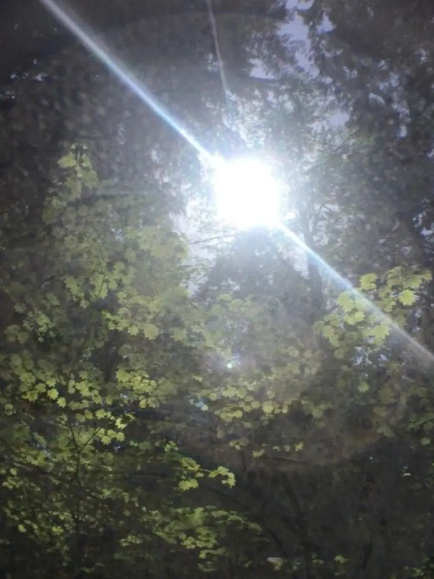 DASFDEDA의 愛及屋烏