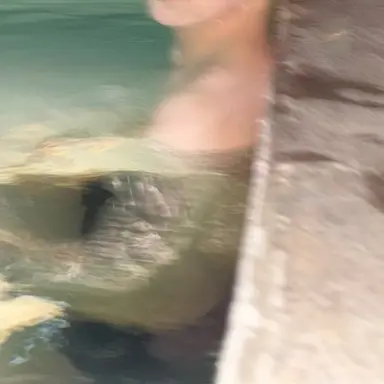 Profile image of 박건욱