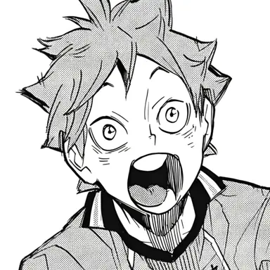 Profile image of Hinata Shoyo