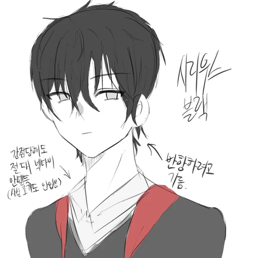 시리우스 블랙