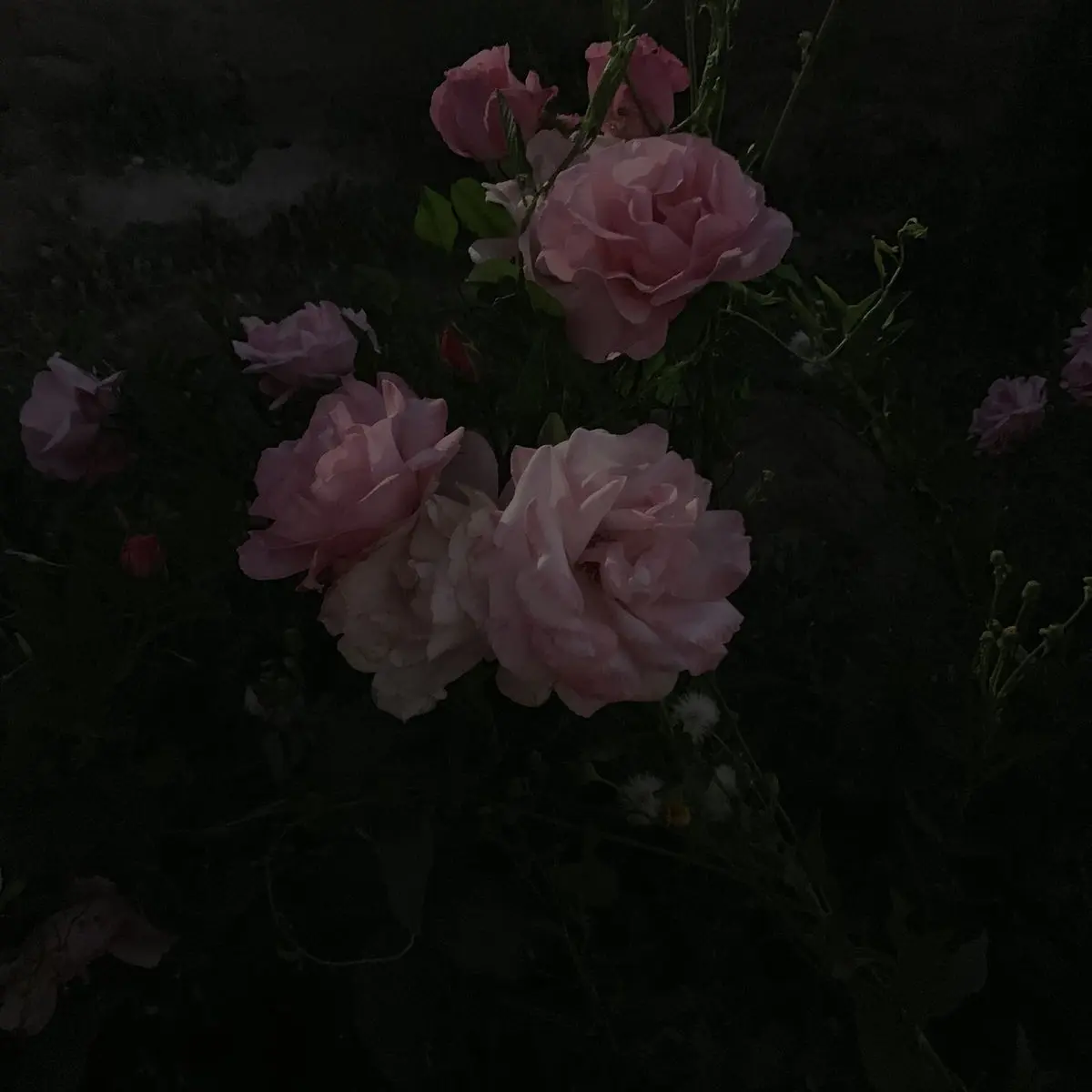 Wanwan_zeta1031의 You are mine. 🥂