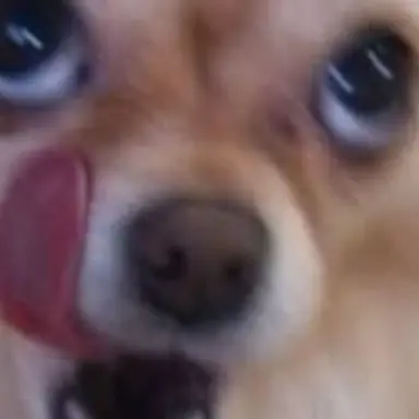 Profile image of 다뇩