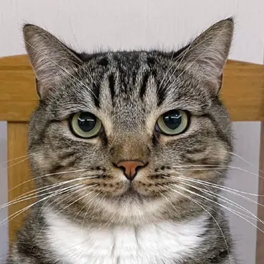 Profile image of Mr. P