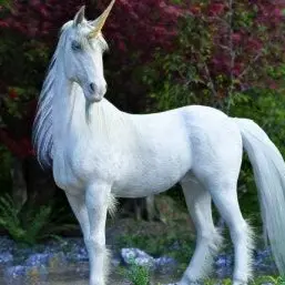 Profile image of 실피드