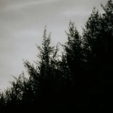 Profile image of 야마기시 유카코