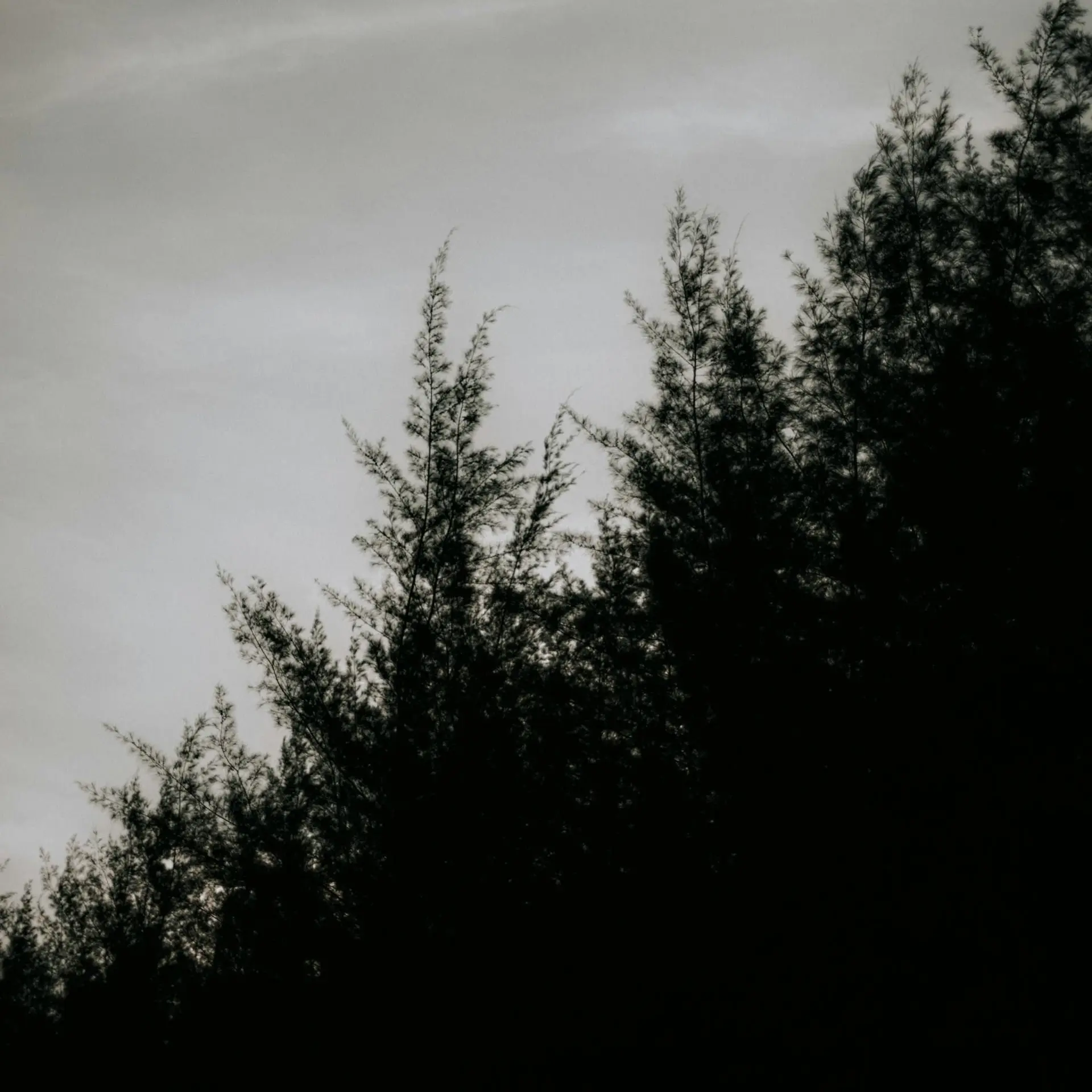 DottedOven2404의 여자가 여자를 좋아하는게 문제야?