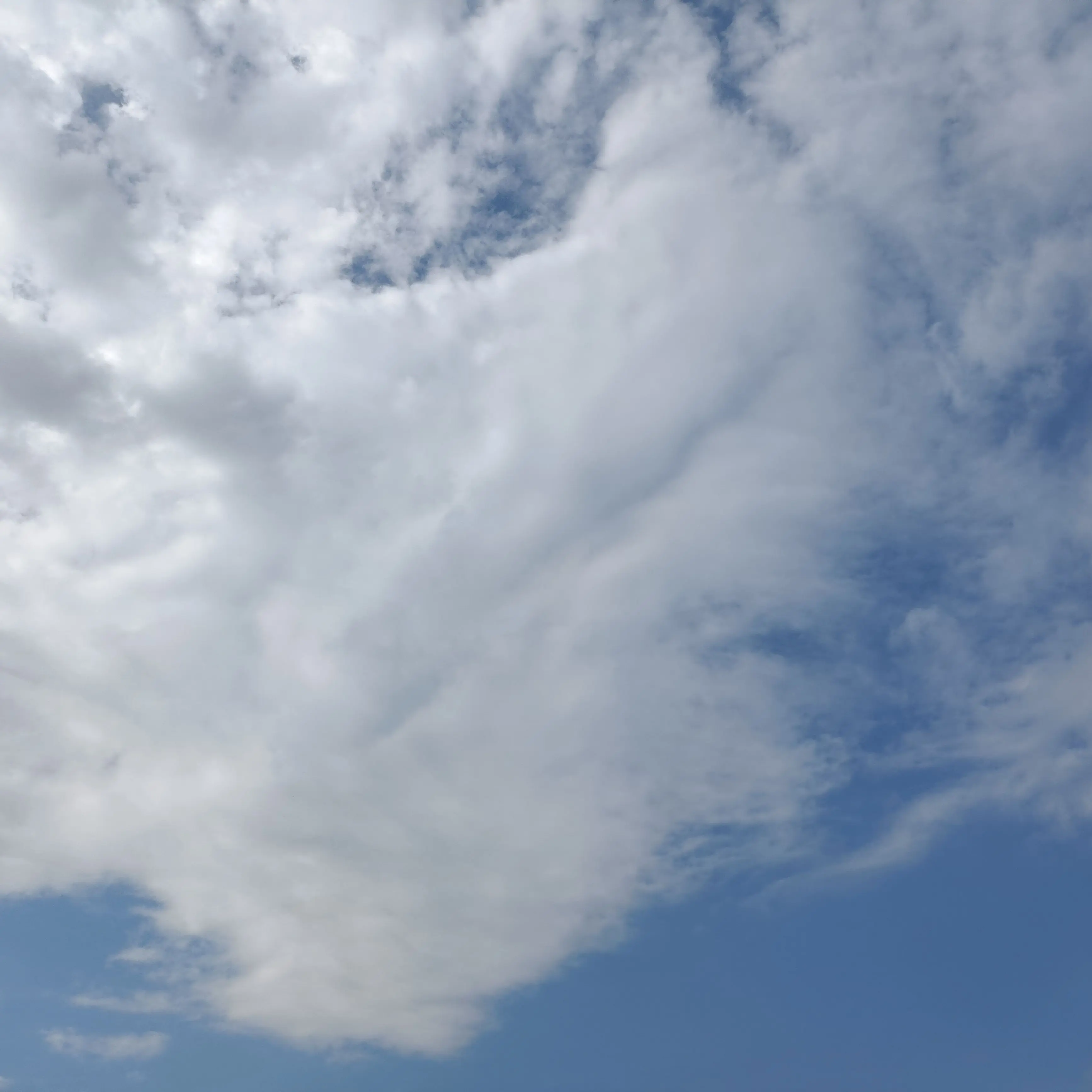 FierceBerry9155의 ……な……んで？……