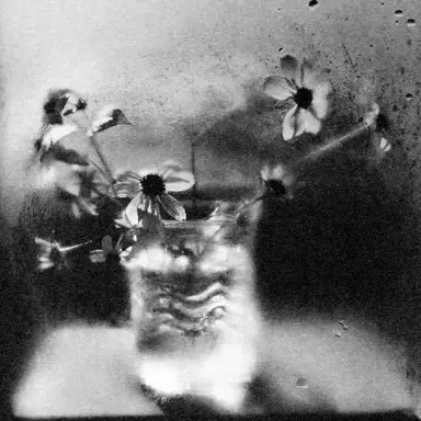 Profile image of 재호