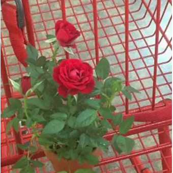 Profile image of 서한솔