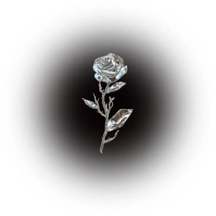 FlatNoise2255의 jw-idol-