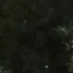 아빠