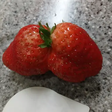 Profile image of 개노답 늑대