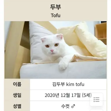 Profile image of 두부