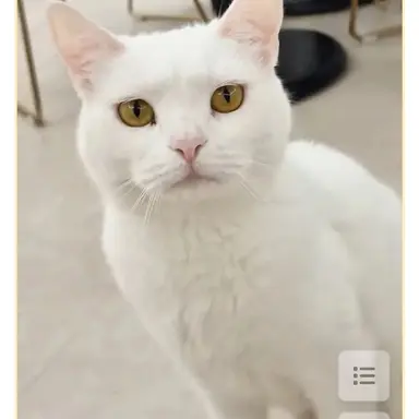Profile image of 우유