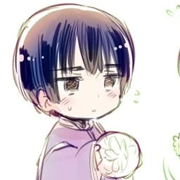 子菊