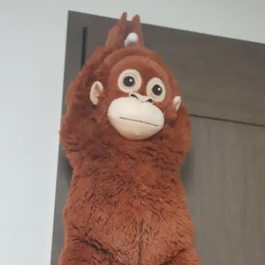 Profile image of 여우