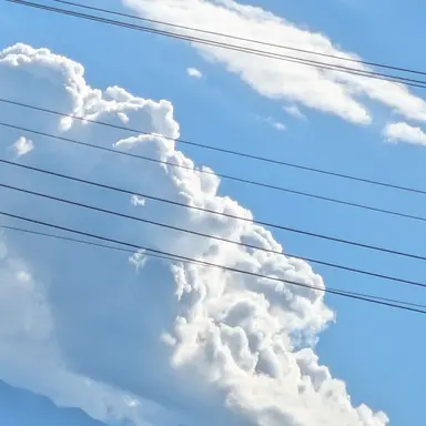 Profile image of 夏コラボメンバー