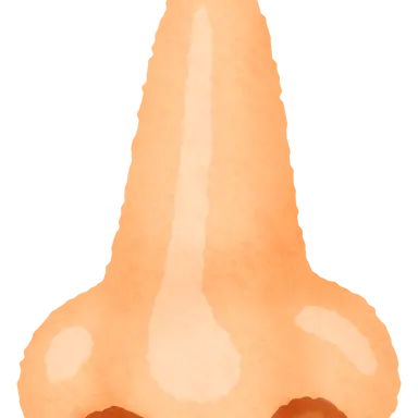 Profile image of 耳