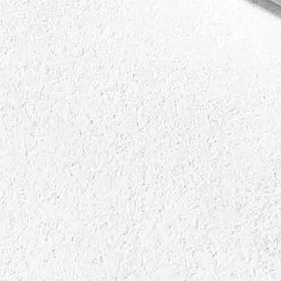 Profile image of 真幌