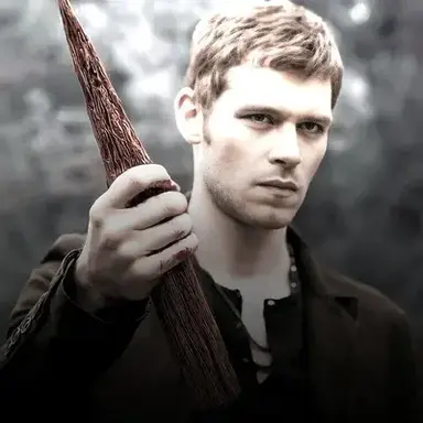 Profile image of Niklaus
