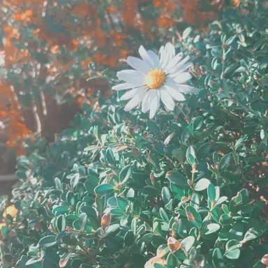 Profile image of ㅎㄷㅁ